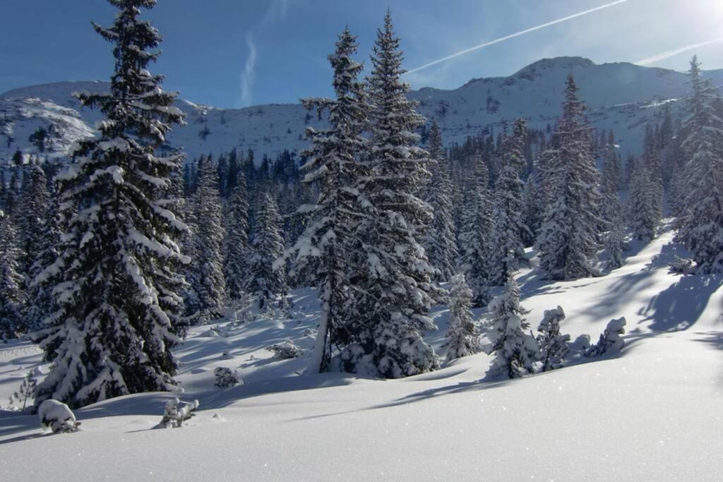 Ferienwohnung Moersbachblick Donnersbachwald Bagian luar foto