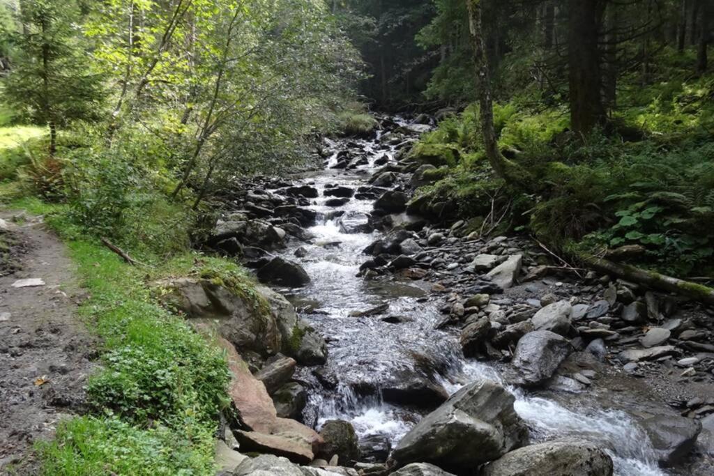 Ferienwohnung Moersbachblick Donnersbachwald Bagian luar foto