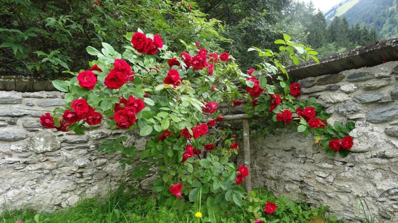 Ferienwohnung Moersbachblick Donnersbachwald Bagian luar foto
