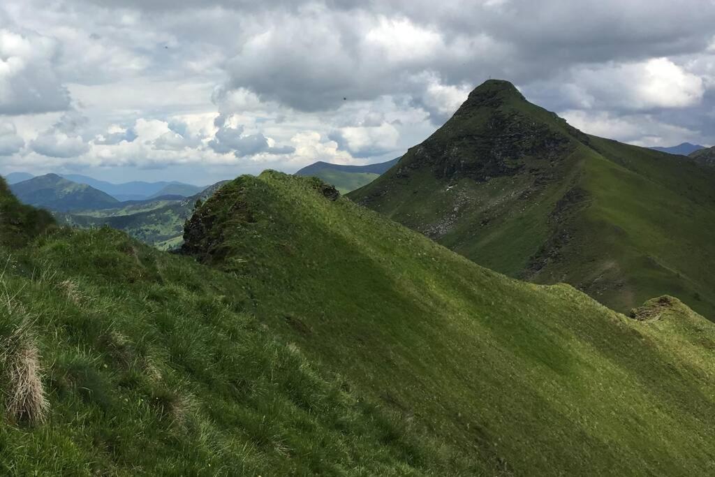 Ferienwohnung Moersbachblick Donnersbachwald Bagian luar foto